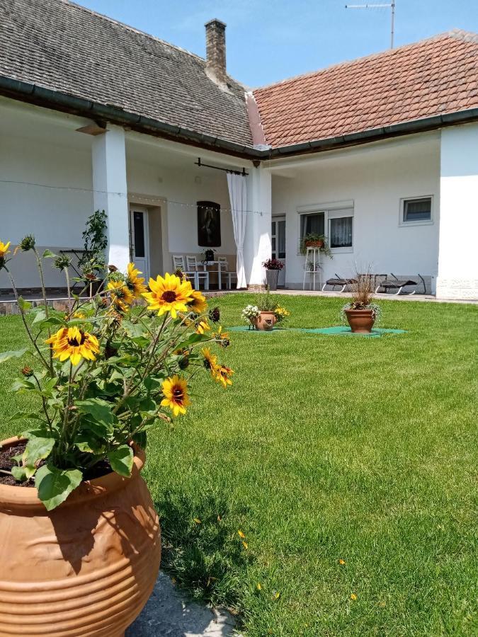 Apartman Katarina Backi Monostor Exterior foto