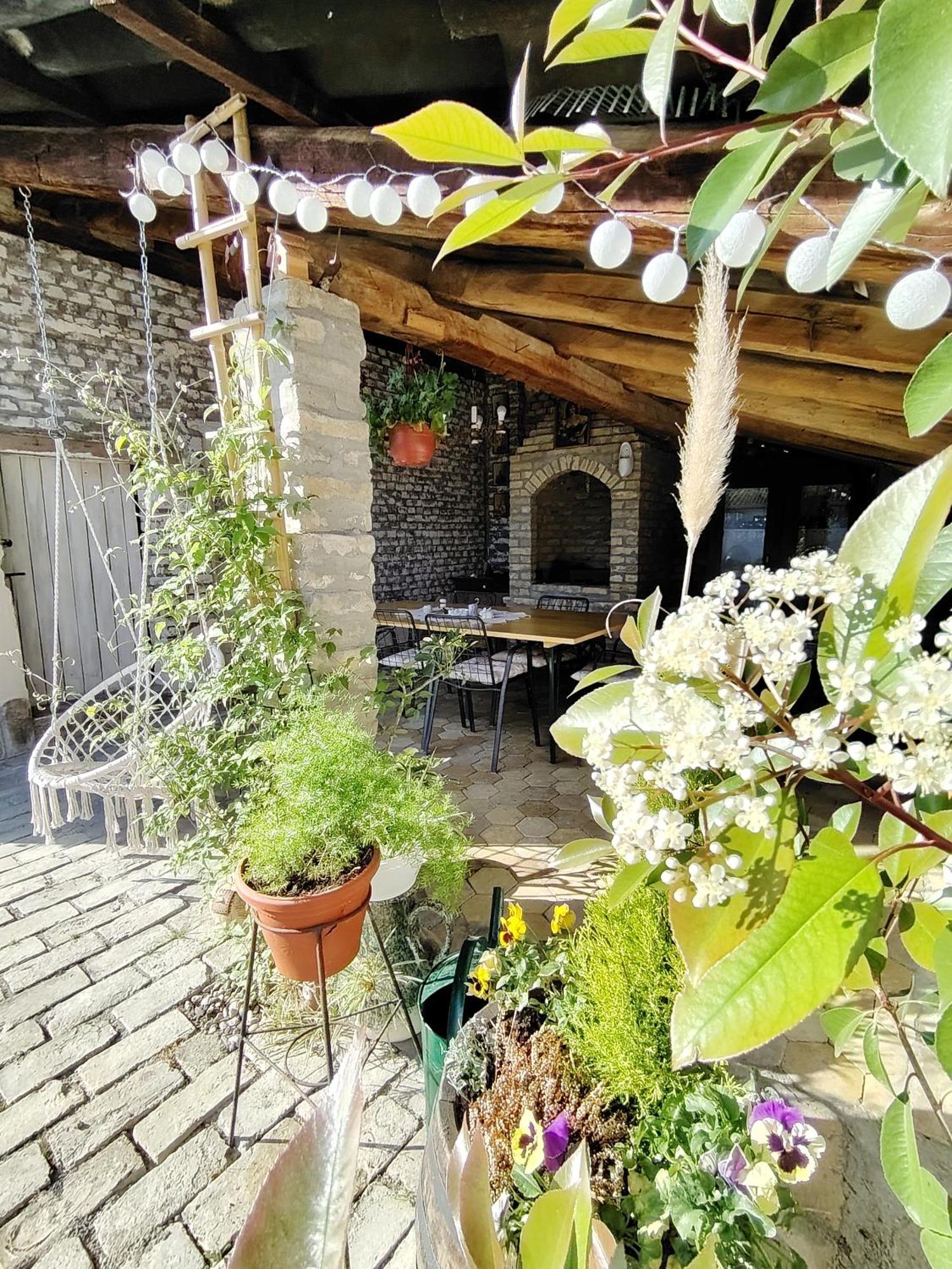 Apartman Katarina Backi Monostor Exterior foto