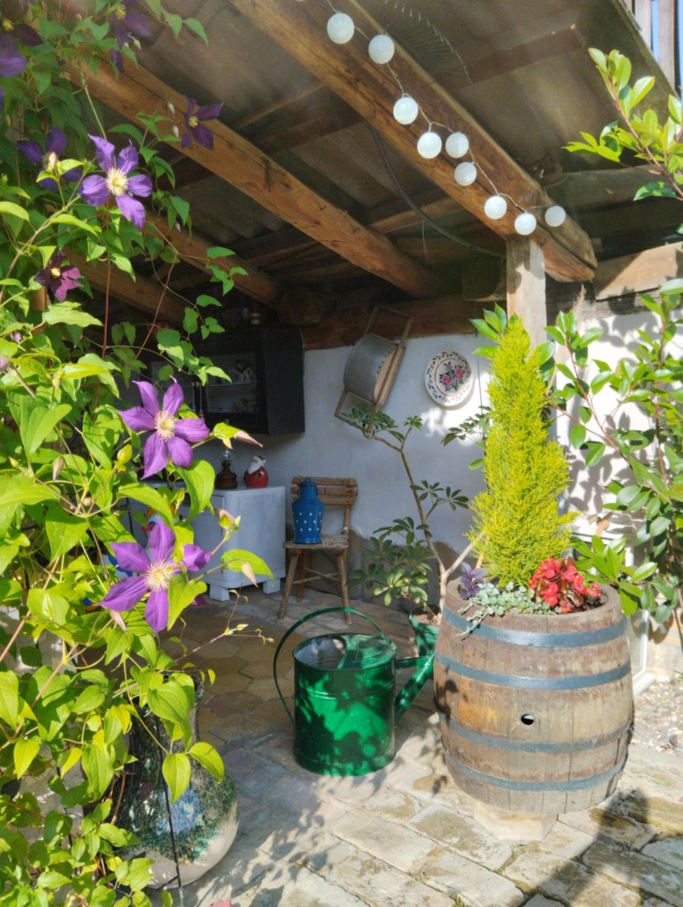 Apartman Katarina Backi Monostor Exterior foto